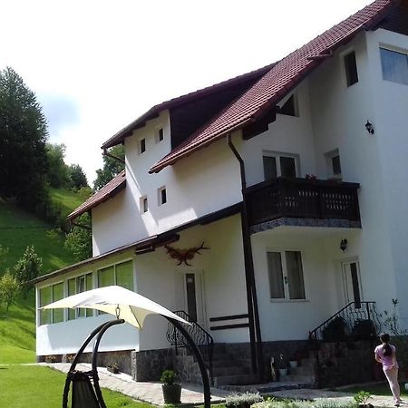 Pensiunea Vladut Bran  Buitenkant foto