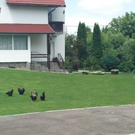 Pensiunea Vladut Bran  Buitenkant foto