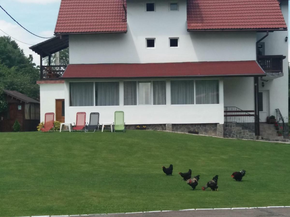 Pensiunea Vladut Bran  Buitenkant foto