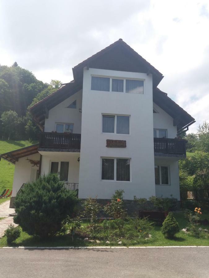 Pensiunea Vladut Bran  Buitenkant foto